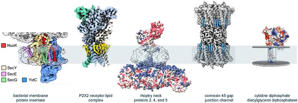 SMALP Membrane Protein Conference